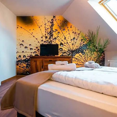 Bed & Breakfast Servita Udvarhaz