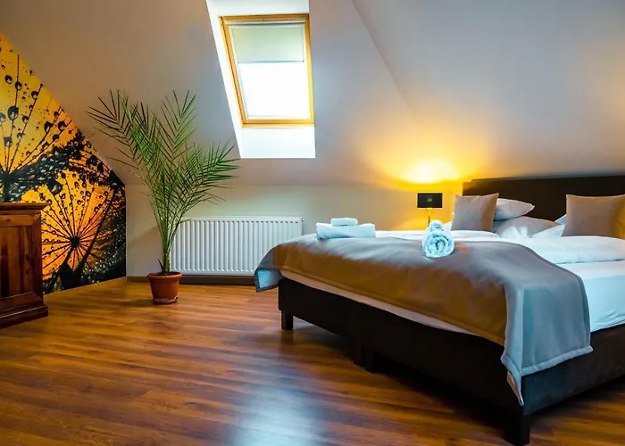 Servita Udvarhaz Couette-café Eger